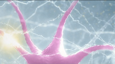 neurons-purple-blue.png